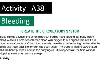 KS4 A38 Create the Circulatory System