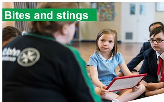KS2-Bites and stings-presentation