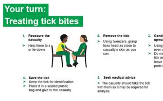 KS2-tick bites-Your turn
