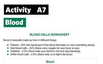KS2-A7-Maths pie chart