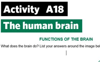 KS3-A18-Functions of the brain