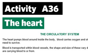 KS4-A36-Create circulatory system KS4-A36-Create circulatory system